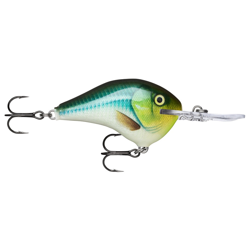 Rapala Dt Dives