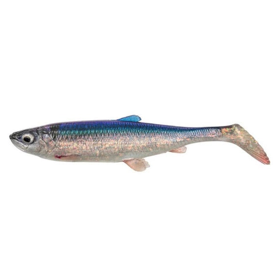 SG 3D Herring Shad