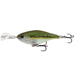 Headbanger Cranky Shad