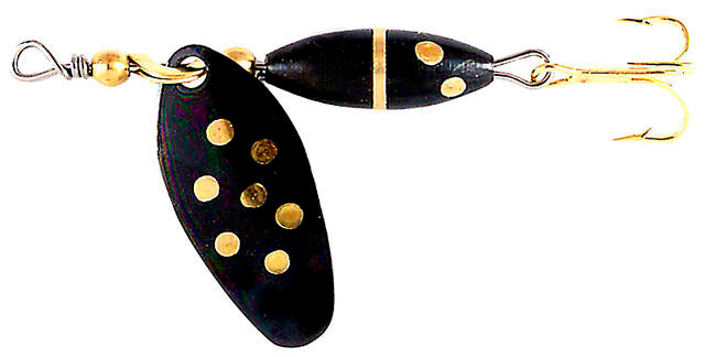 Myrans Panter