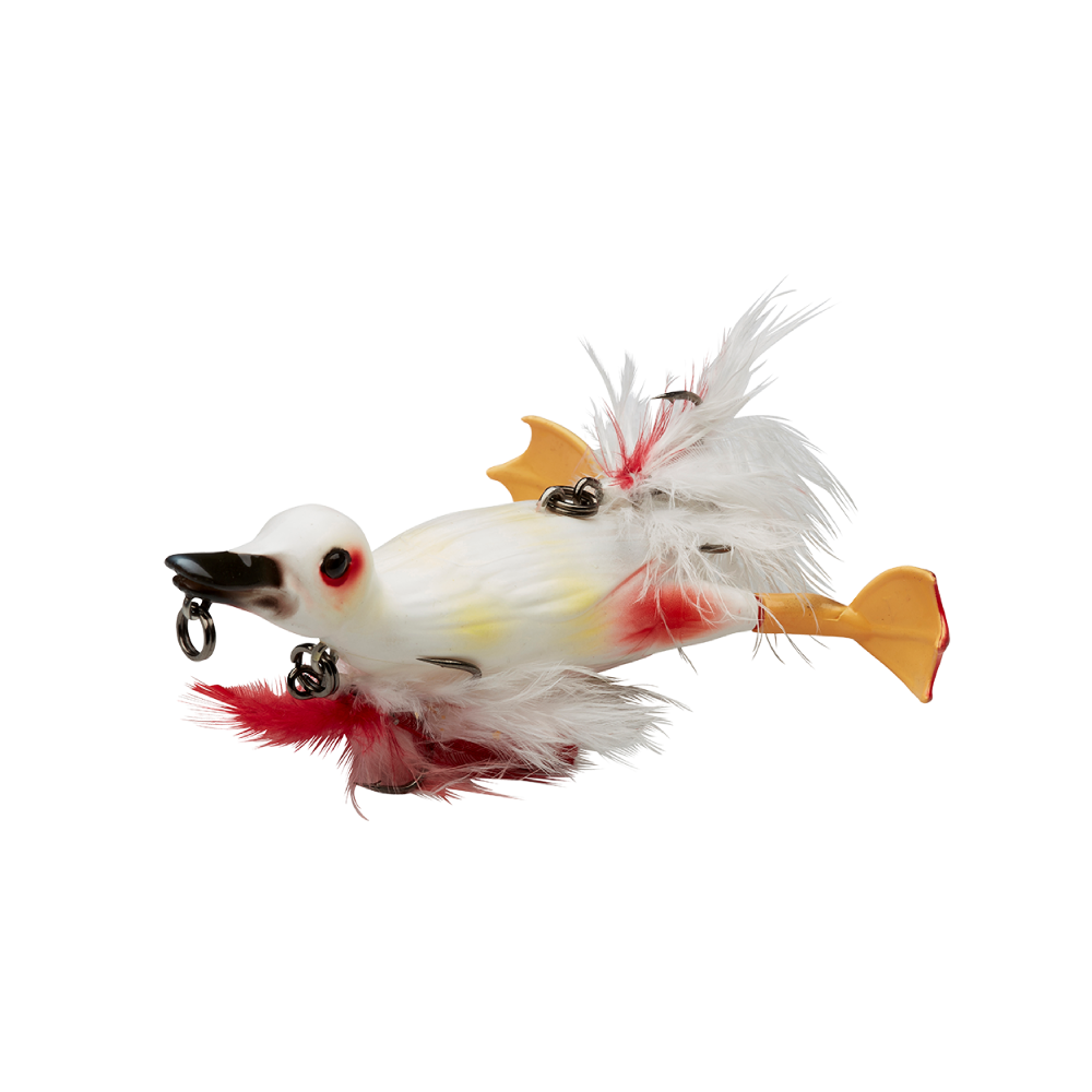 SG Suicide Duck