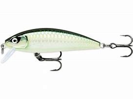 Rapala X-Rap Countdown