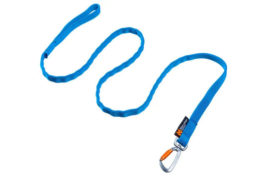 Non-Stop Bungee Leash