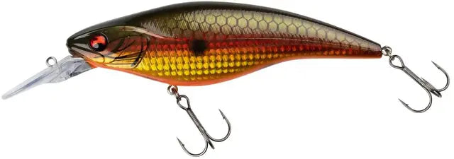 Prorex Flatty Bait