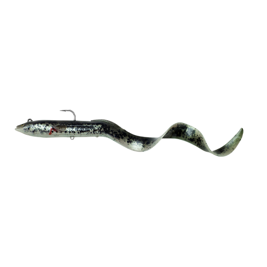 SG 4D Real Eel