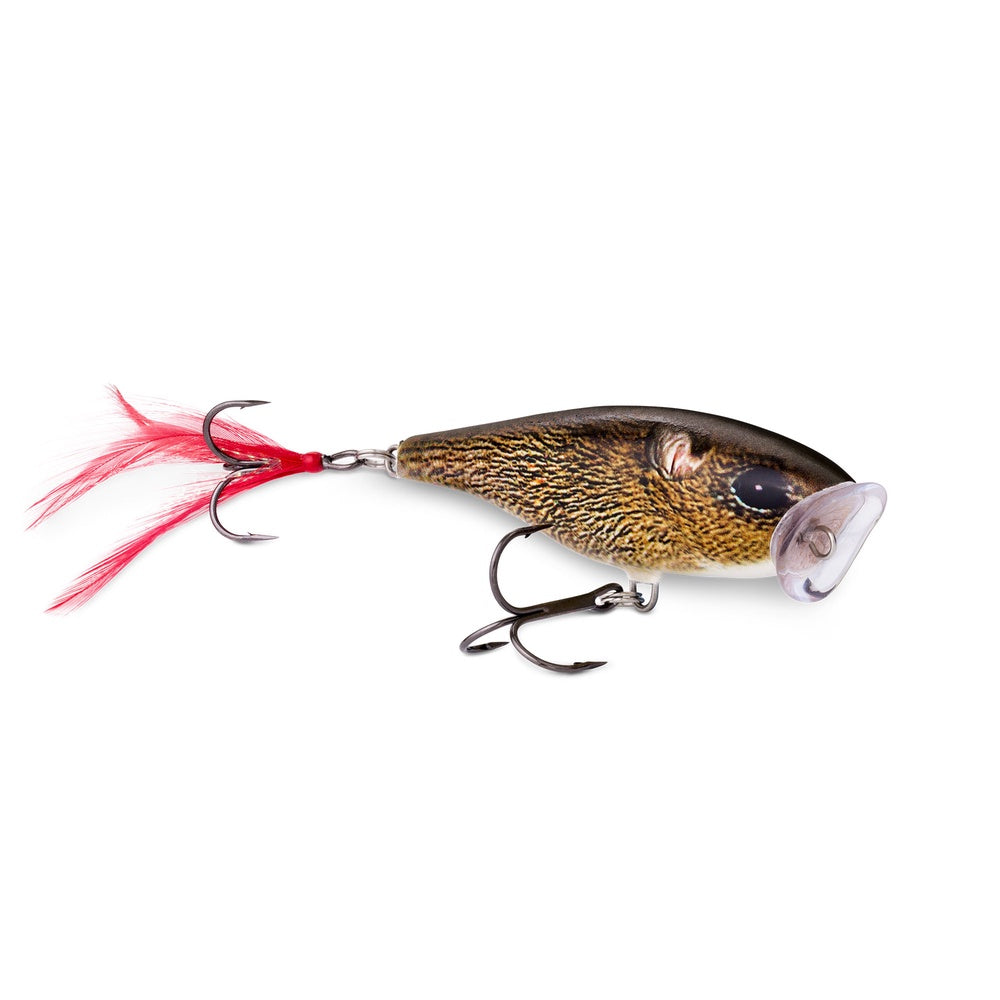 Rapala Skitter Pop, 5cm